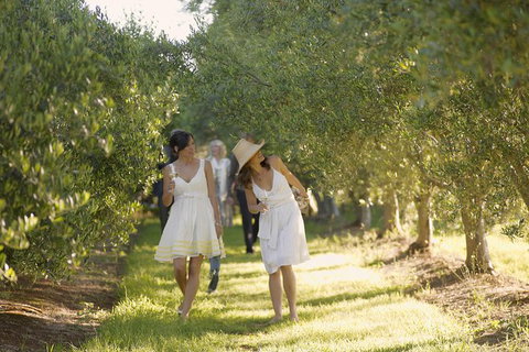 Mornington Peninsula Farm Produce Wine And Cider Tour - Attractions Melbourne 15