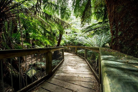 Small-Group Great Ocean Road Tour Experience With Eureka Skydeck Admission - Attractions Melbourne 5