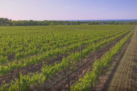Macedon Ranges Small Group Wine Tour With 2 Course Lunch And Morning Tea - Attractions Melbourne 5