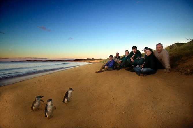 Private Phillip Island Day Trip from Melbourne Including Penguin Parade Premium Viewing Melbourne