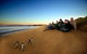 Private Phillip Island Day Trip From Melbourne Including Penguin Parade Premium Viewing - thumb 0