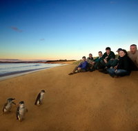 Private Phillip Island Day Trip from Melbourne Including Penguin Parade Premium Viewing