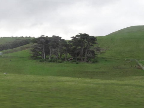 Great Ocean Road Reverse Itinerary With 12 Apostles And Lunch From Melbourne - Attractions Melbourne 15