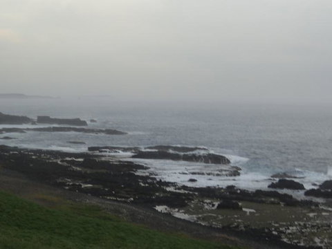 Great Ocean Road Reverse Itinerary With 12 Apostles And Lunch From Melbourne - Attractions Melbourne 11