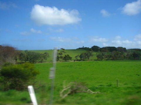 Great Ocean Road Reverse Itinerary With 12 Apostles And Lunch From Melbourne - Attractions Melbourne 3