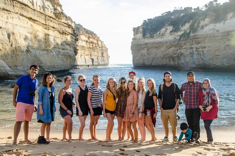 Great Ocean Road Reverse Itinerary With 12 Apostles And Lunch From Melbourne - Attractions Melbourne 26