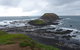 Phillip Island Penguin, Brighton Beach, Moonlit Sanctuary From Melbourne - thumb 16