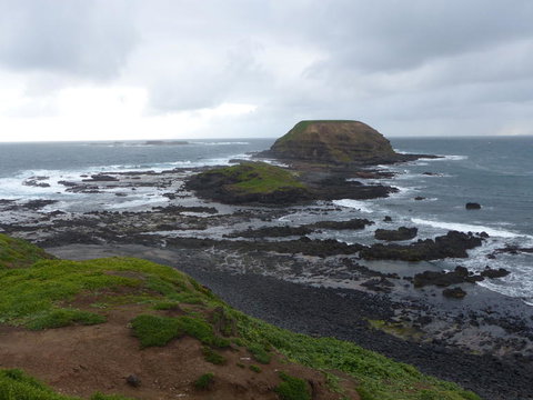 Phillip Island Penguin, Brighton Beach, Moonlit Sanctuary From Melbourne - Attractions Melbourne 16