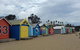 Phillip Island Penguin, Brighton Beach, Moonlit Sanctuary From Melbourne - thumb 3