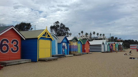 Phillip Island Penguin, Brighton Beach, Moonlit Sanctuary From Melbourne - Attractions Melbourne 3