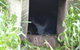 Phillip Island Penguin, Brighton Beach, Moonlit Sanctuary From Melbourne - thumb 15