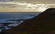 Phillip Island Penguin, Brighton Beach, Moonlit Sanctuary From Melbourne - thumb 12