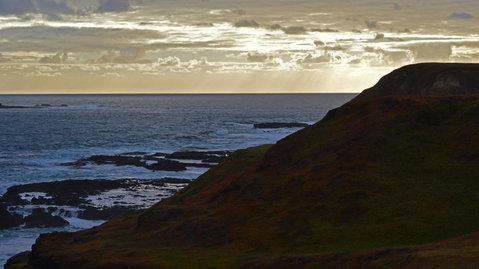 Phillip Island Penguin, Brighton Beach, Moonlit Sanctuary From Melbourne - Attractions Melbourne 12