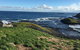 Phillip Island Penguin, Brighton Beach, Moonlit Sanctuary From Melbourne - thumb 5