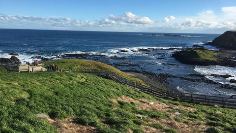 Phillip Island Penguin, Brighton Beach, Moonlit Sanctuary From Melbourne - Attractions Melbourne 5