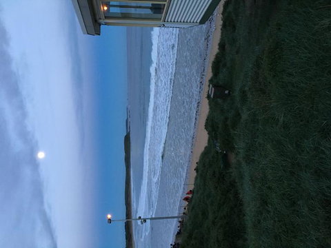 Phillip Island Penguin, Brighton Beach, Moonlit Sanctuary From Melbourne - Attractions Melbourne 8