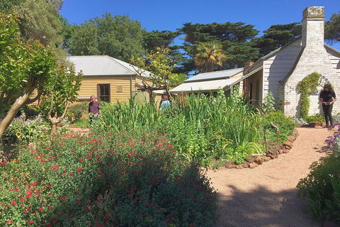 Phillip Island Tour Including Phillip Island Penguin Parade - Attractions Melbourne 9