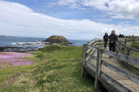 Phillip Island Tour Including Phillip Island Penguin Parade - Attractions Melbourne 10