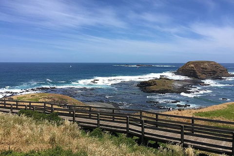 Phillip Island Tour Including Phillip Island Penguin Parade - Attractions Melbourne 6