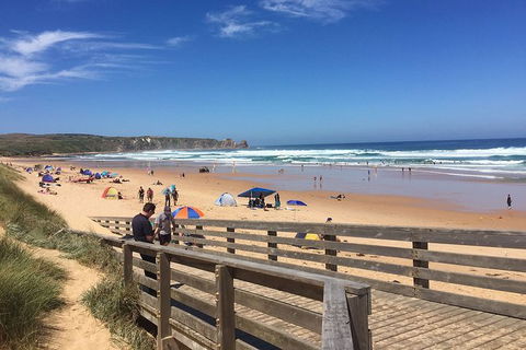 Phillip Island Tour Including Phillip Island Penguin Parade - Attractions Melbourne 2