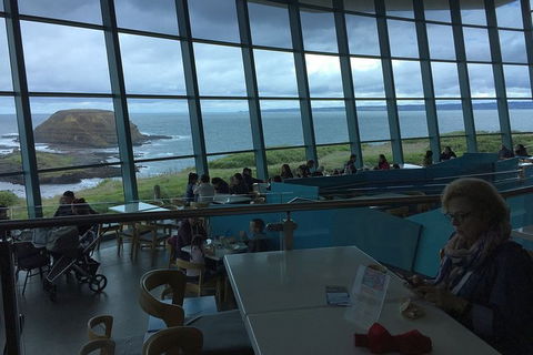 Phillip Island Tour Including Phillip Island Penguin Parade - Attractions Melbourne 4