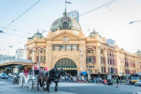 Melbourne Horse Drawn Carriage Premium Garden And City Tourâ„¢ - Attractions Melbourne 0