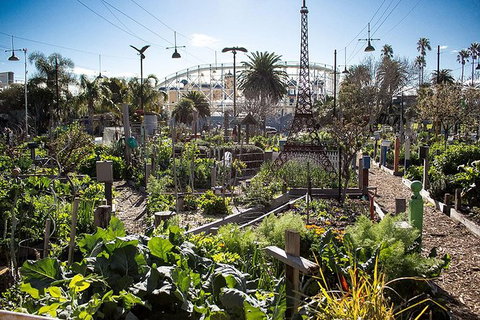 Sustainable Melbourne Tour - Attractions Melbourne 1