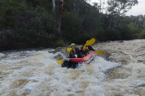 White-Water Kayaking On The Yarra River - Attractions Melbourne 5