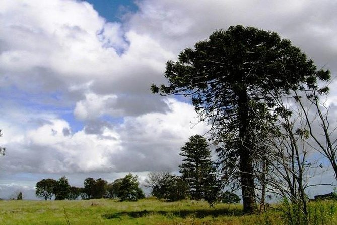 Walking tours of Woodlands Historic Park Melbourne