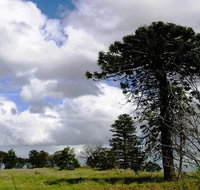 Walking tours of Woodlands Historic Park