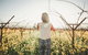 Yarra Valley Rainforest Hike And Winery Tour - thumb 0