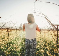 Yarra Valley Rainforest Hike and Winery Tour