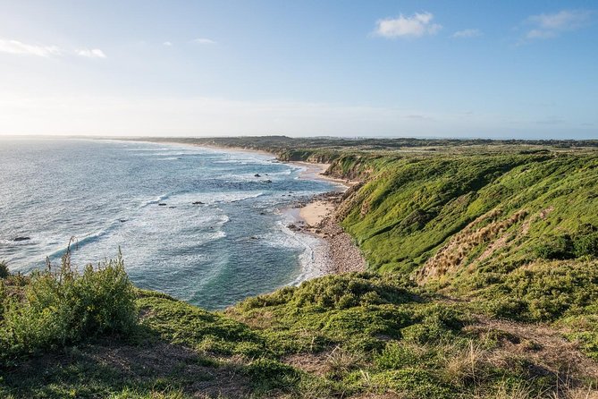 Phillip Island Hike and Aussie Wildlife Adventure Melbourne