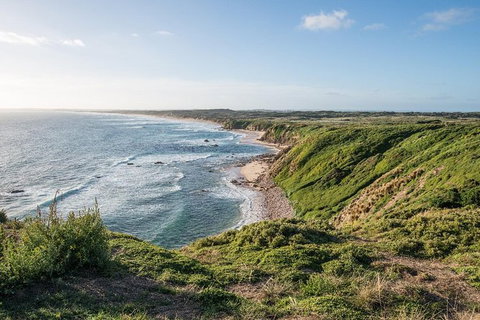Phillip Island Hike And Aussie Wildlife Adventure - Attractions Melbourne 0
