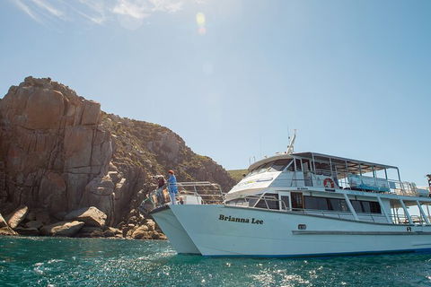 Wilsons Prom Whale Cruise - Attractions Melbourne 5