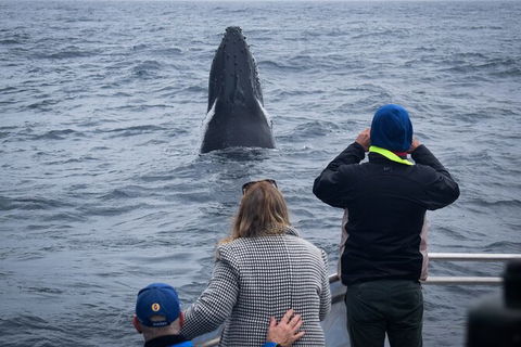 Wilsons Prom Whale Cruise - Attractions Melbourne 8