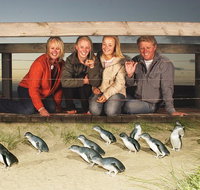 Phillip Island Nature Park Full-Day Tour from Melbourne