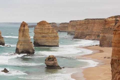 Private Combo Melbourne And Great Ocean Road Tours - Attractions Melbourne 4