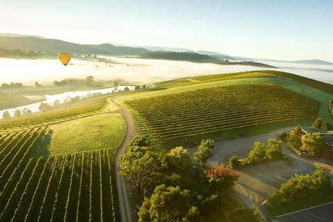 Yarra Valley Wine Tour With Local Harvest Tastings From Melbourne - Attractions Melbourne 7