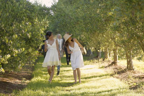Yarra Valley Wine Tour With Local Harvest Tastings From Melbourne - Attractions Melbourne 8