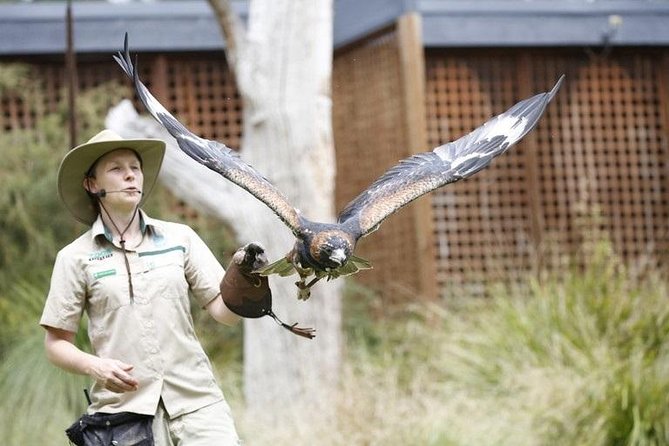 Healesville Sanctuary General Entry Ticket Melbourne