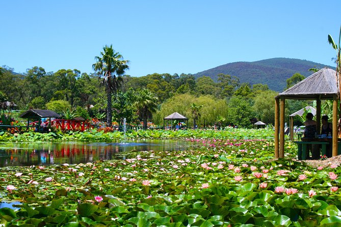 Blue Lotus Water Garden - Admission Ticket Melbourne