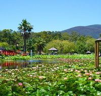 Blue Lotus Water Garden - Admission Ticket
