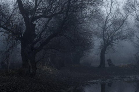 Eynesbury Homestead Dinner And Ghost Tour - Attractions Melbourne 1