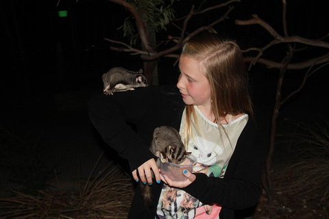 Moonlit Sanctuary Wildlife Conservation Park Evening Tour - Attractions Melbourne 1