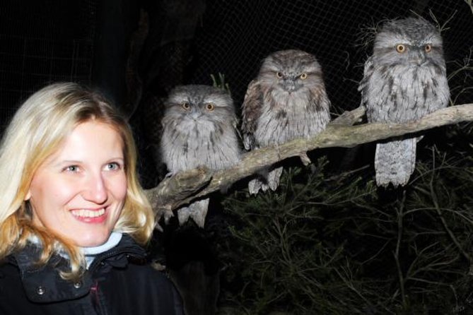 Moonlit Sanctuary Wildlife Conservation Park Evening Tour Melbourne