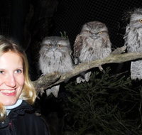 Moonlit Sanctuary Wildlife Conservation Park Evening Tour