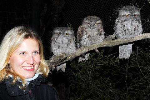 Moonlit Sanctuary Wildlife Conservation Park Evening Tour - Attractions Melbourne 0