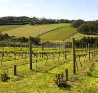 Mornington Peninsula Small-Group Wine Tour with Lunch and Morning Tea