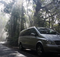 Shore Excursion-Healesville-Sanctuary-Private-Group- Max 7 PAX -Yarra Valley